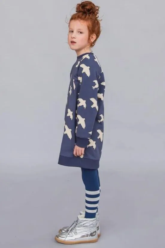 Free like a bird sweater dress by Carlijnq (SZ 6-8)