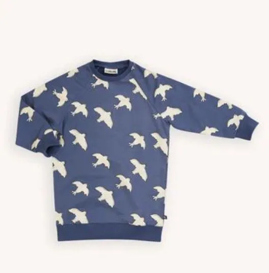 Free like a bird sweater dress by Carlijnq (SZ 6-8)