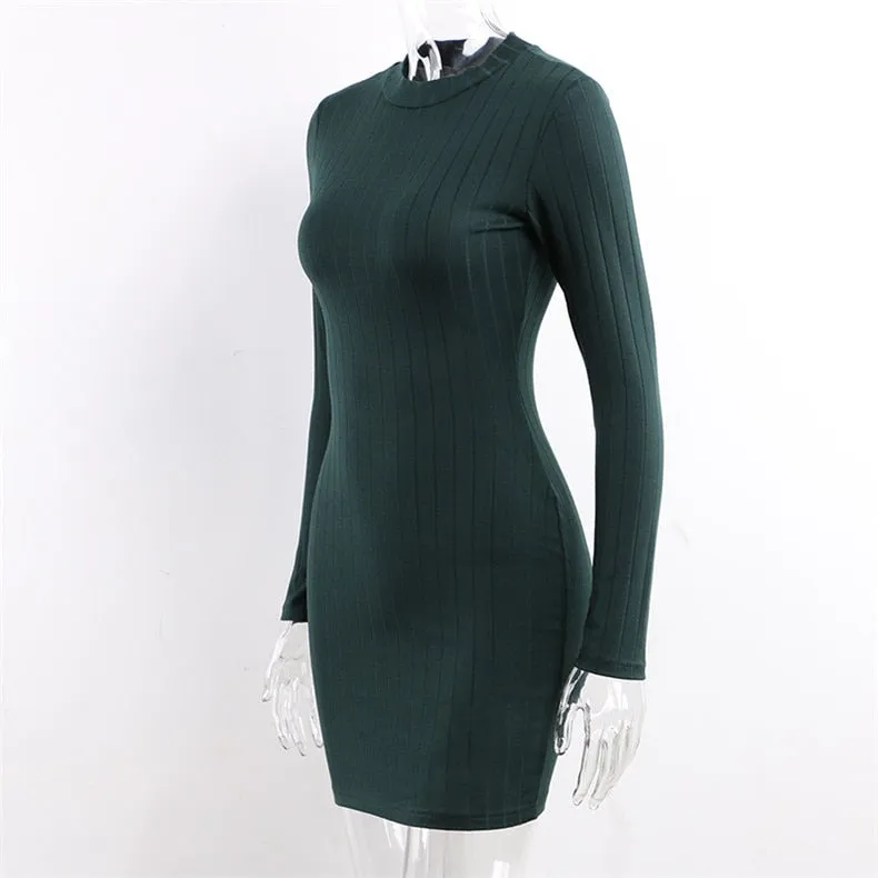 Ribbed Sweater Dress